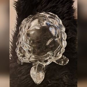 GLASS TURTLE